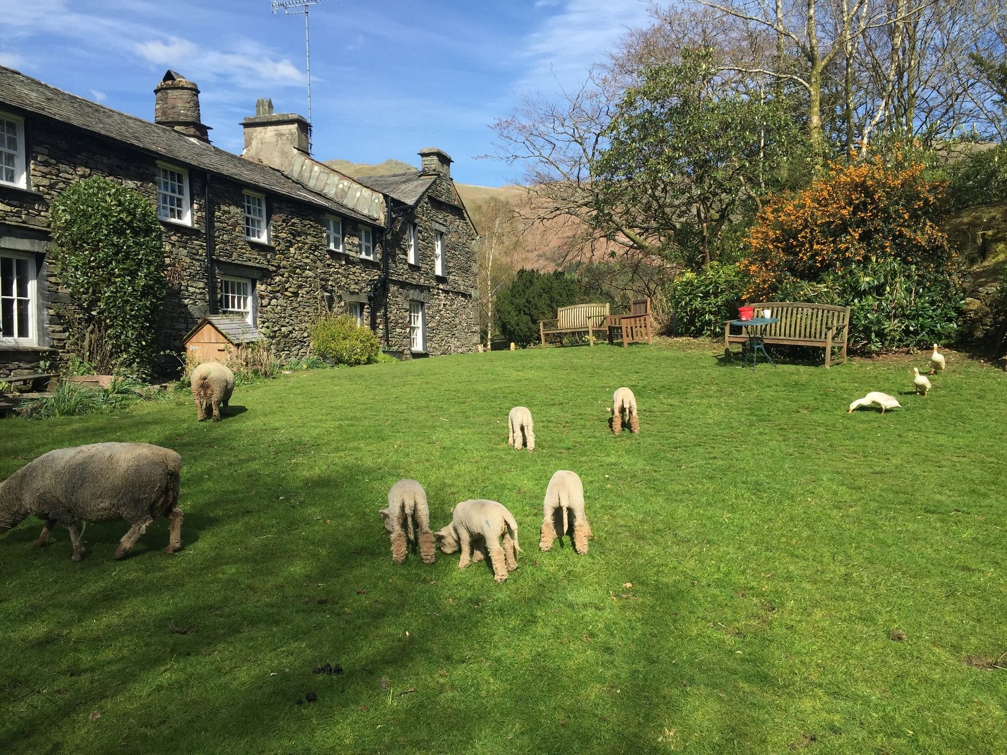 Thorney How Ambleside Exteriör bild